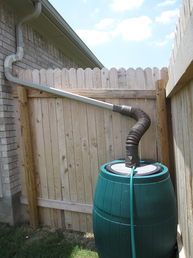 How To Harvest Rainwater Green Living Ideas