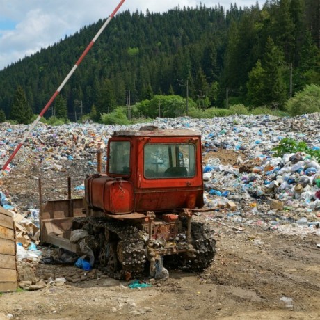 landfill in the forest