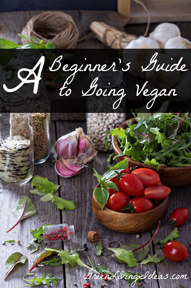 How to Be Vegan The Eating Vegan Edition