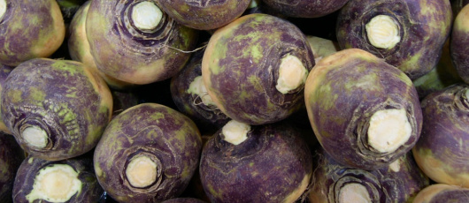 Rutabaga The Underrated Root Vegetable Green Living Ideas