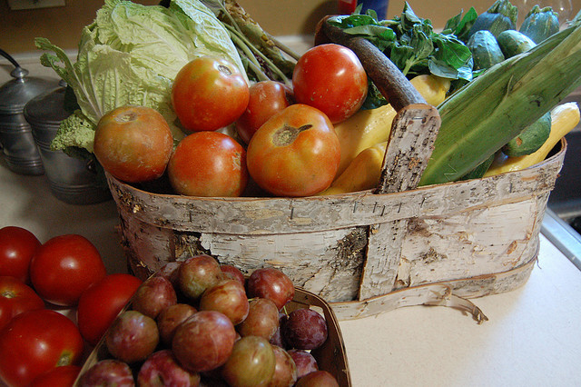 CSA Basket - Green Living Ideas