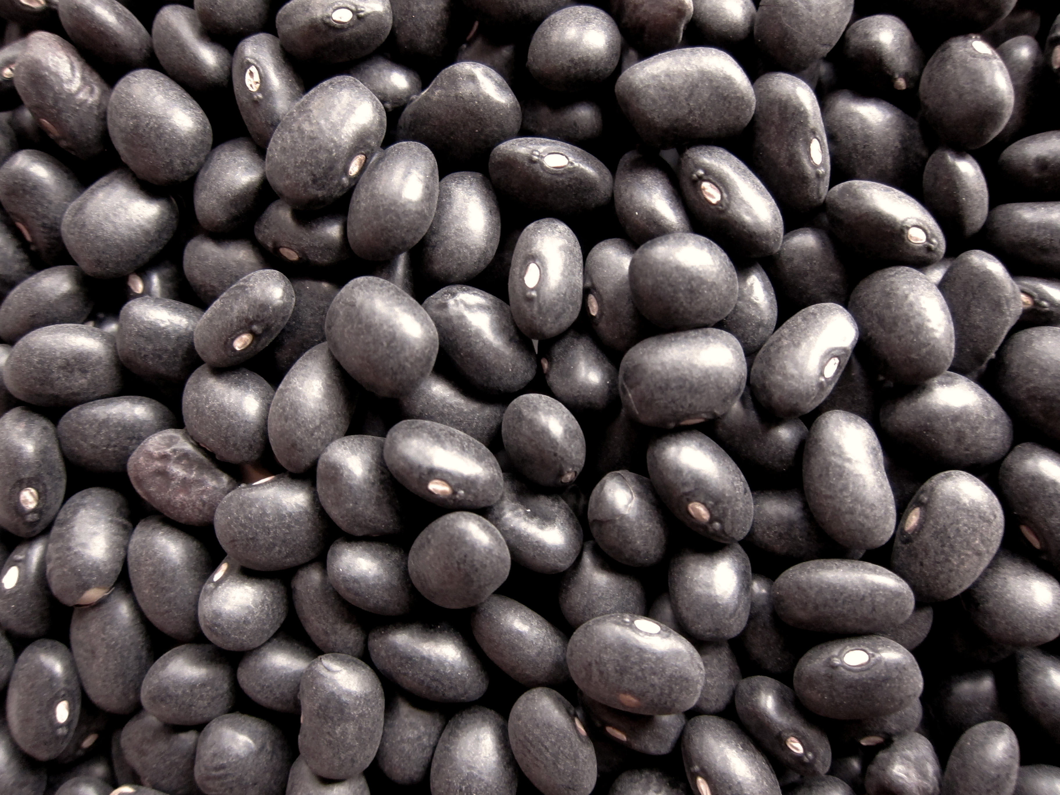 living room with black beans