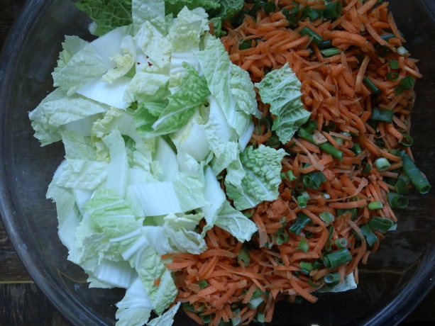 cabbage and carrots for homemade kim chi