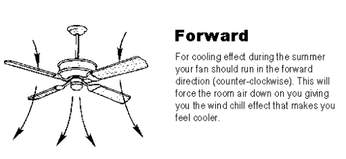 How and why to change the direction of your ceiling fans in summer and